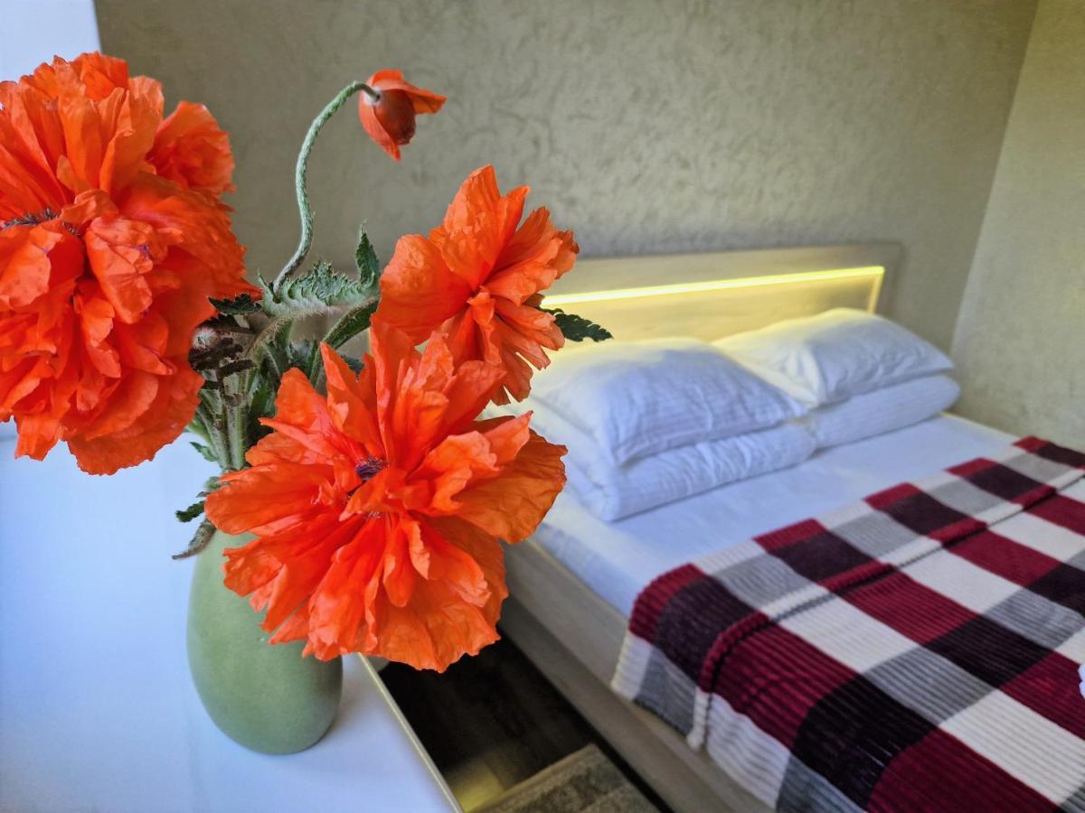 Villa Zenko Briukhovychi Extérieur photo