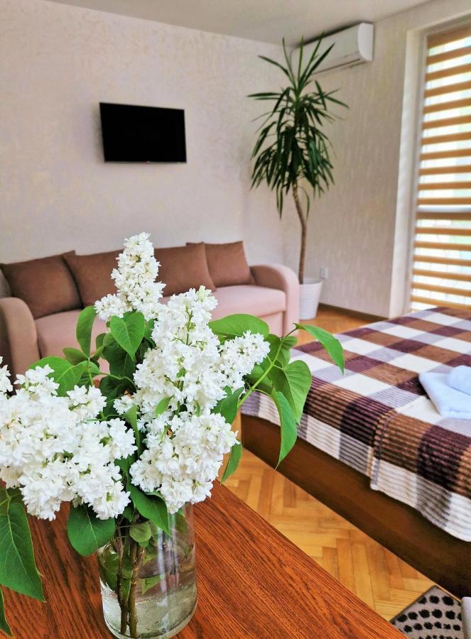 Villa Zenko Briukhovychi Extérieur photo