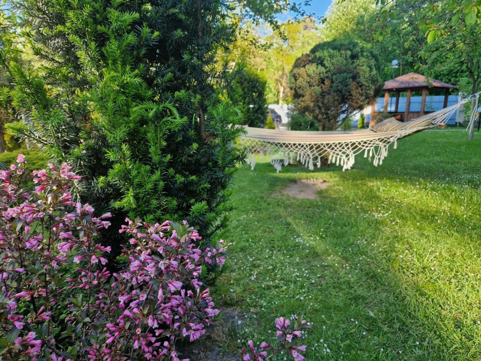 Villa Zenko Briukhovychi Extérieur photo